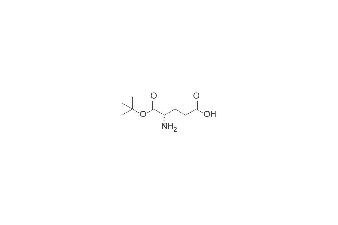 L-Glutamic acid α-tert·butyl ester